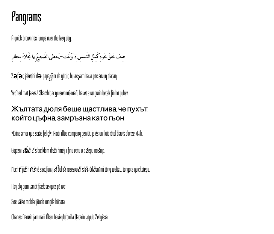 A list of pangrams in different languages in Sedgwick Ave Display, huge variance in letters even within an alphabet